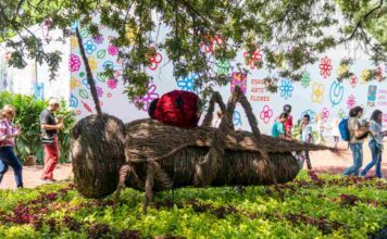 Festival de Flores y Jardines 2024 en CDMX