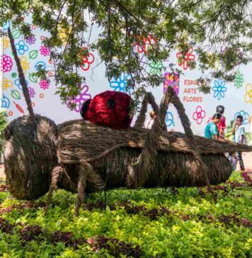 Festival de Flores y Jardines 2024 en CDMX