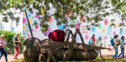 Festival de Flores y Jardines 2024 en CDMX