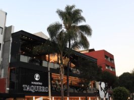 Maestro Taquero: la taquería de 4.4 estrellas Maestro Taquero: la taquería de 4.4 estrellas