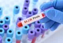OMS analiza a Pirola, la nueva variante de Covid-19