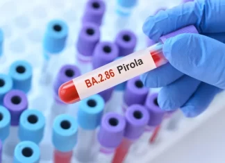 OMS analiza a Pirola, la nueva variante de Covid-19