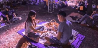 Picnic nocturno en Chapultepec Picnic-nocturno-en-Chapultepec