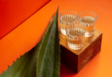 Mezcal Fest MX Mezcal Fest MX