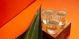 Mezcal Fest MX Mezcal Fest MX