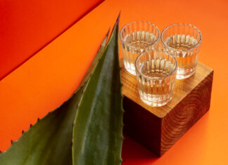 Mezcal Fest MX Mezcal Fest MX