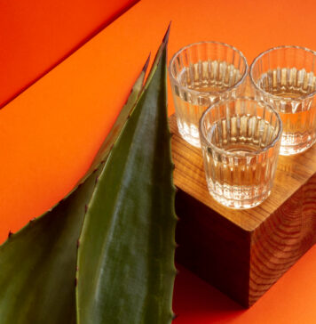 Mezcal Fest MX Mezcal Fest MX