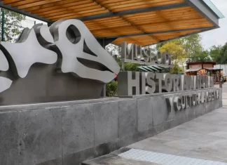 Museo de Historia Natural, Nuevas Salas Museo-de-Historia-Natural_-Nuevas-Salas