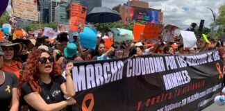 Marcha en contra del maltrato animal en CDMX Marcha en contra del maltrato animal en CDMX