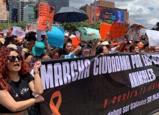 Marcha en contra del maltrato animal en CDMX Marcha en contra del maltrato animal en CDMX