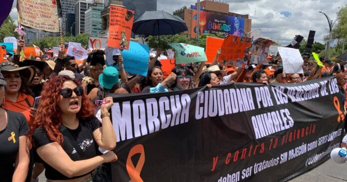 Marcha en contra del maltrato animal en CDMX