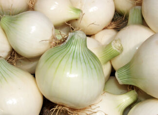 Propiedades de la Cebolla, ¿las conocías?