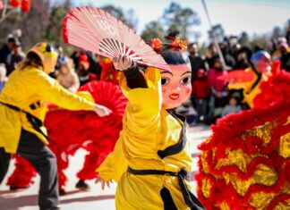 Festival Mundo Japan