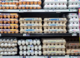 Cuáles son las peores marcas de huevo en México Cuáles son las peores marcas de huevo en México