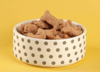 ¿Es saludable comer comida de perro? Es saludable comer comida de perro