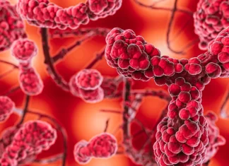 Estreptococos, ¿qué son? Estreptococos-que-son