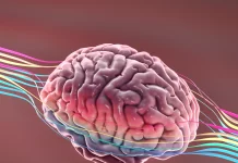 Investigadores hallan Alzheimer en etapa temprana