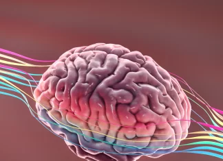 Investigadores hallan Alzheimer en etapa temprana