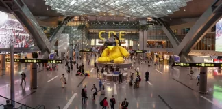 Los 10 mejores aeropuertos del mundo en 2024 Los 10 mejores aeropuertos del mundo en 2024