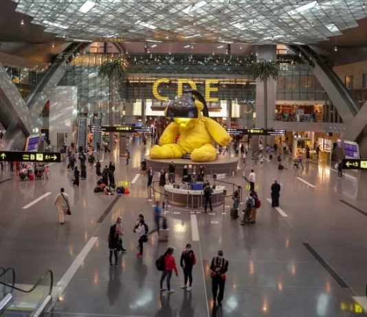 Los 10 mejores aeropuertos del mundo en 2024 Los 10 mejores aeropuertos del mundo en 2024