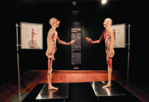 Our Body, una exposición única Our-Body-una-exposicion-unica