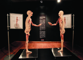 Our Body, una exposición única Our-Body-una-exposicion-unica