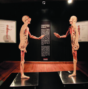 Our Body, una exposición única Our-Body-una-exposicion-unica