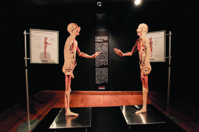 Our-Body-una-exposicion-unica