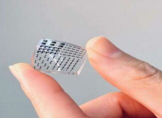 Chinos crean e-skin piel electrónica para exploración polar e-skin piel electrónica