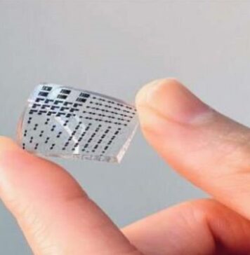 Chinos crean e-skin piel electrónica para exploración polar e-skin piel electrónica