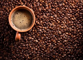 Caféstival 2024 en CDMX Cafestival-2024-en-CDMX