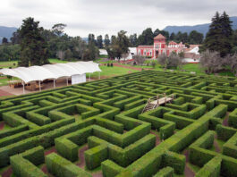 ¿Dónde está el laberinto más grande de México? Dónde está el laberinto más grande de México