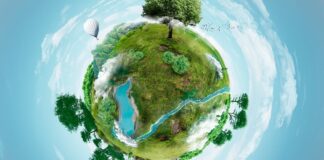 Índice de desempeño del medio ambiente 2024 Índice de desempeño del medio ambiente 2024