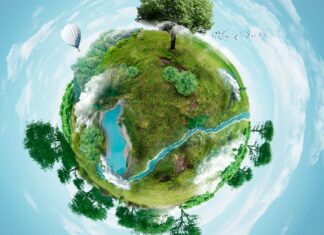 Índice de desempeño del medio ambiente 2024 Índice de desempeño del medio ambiente 2024