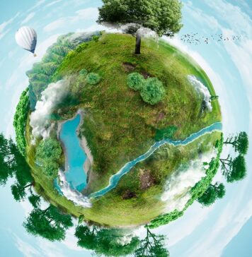 Índice de desempeño del medio ambiente 2024 Índice de desempeño del medio ambiente 2024