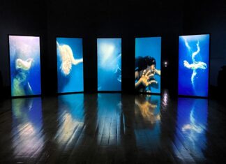 MUXX: Trashumancia por Arte Alameda