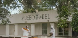 Museo de Miel, una experiencia natural Museo-de-Miel-una-experiencia-natural