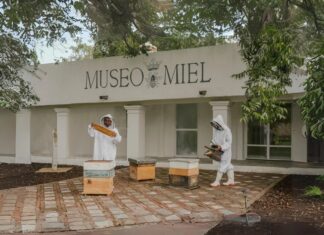Museo de Miel, una experiencia natural Museo-de-Miel-una-experiencia-natural