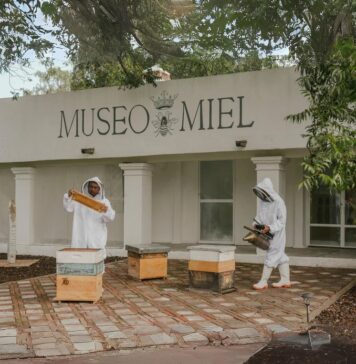Museo de Miel, una experiencia natural Museo-de-Miel-una-experiencia-natural