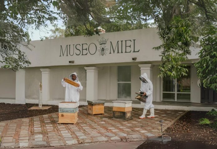 Museo-de-Miel-una-experiencia-natural