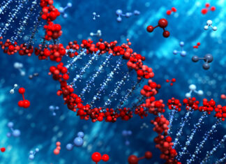 Variante genética predispone a padecer obesidad