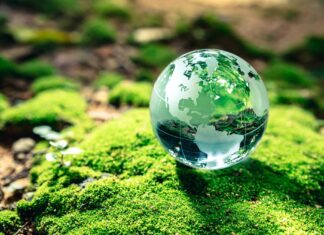 TikTok Creadores del Mañana un programa para cuidar el medio ambiente TikTok Creadores del Mañana un programa para cuidar el medio ambiente