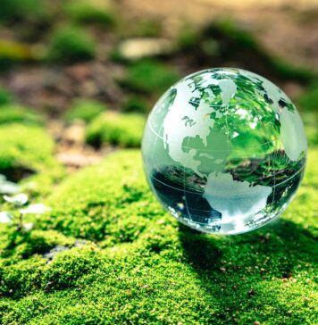 TikTok Creadores del Mañana un programa para cuidar el medio ambiente TikTok Creadores del Mañana un programa para cuidar el medio ambiente