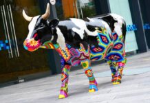 Cow Parade 2024 en CDMX