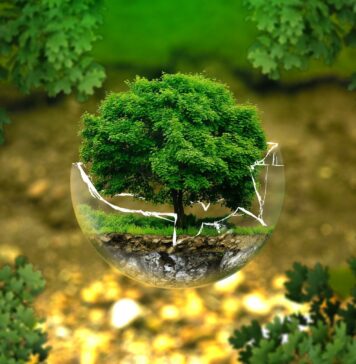 ¿Innovación para la Acción Climática en Latinoamérica y el Caribe? EIT-CLIMATE-KIC-y-BID.