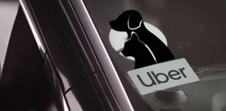 Uber Pet llega a México