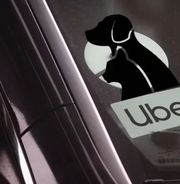 Uber Pet llega a México