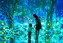 Visita Mystika de Pepe Soho: un viaje inmersivo hacia la belleza mystika pepe soho cdmx