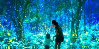 Visita Mystika de Pepe Soho: un viaje inmersivo hacia la belleza mystika pepe soho cdmx