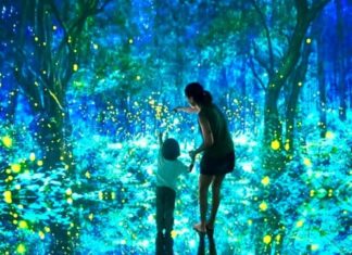 Visita Mystika de Pepe Soho: un viaje inmersivo hacia la belleza mystika pepe soho cdmx